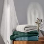 Toalha De Rosto Fontani Azzuro Trussardi 48x80CM