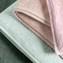 Toalha de Rosto Fontani Trussardi Acqualine