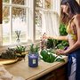 Vale Pote Vidro G Relevo Mediterranean 100horas Voluspa