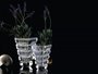 Vaso de Cristal Adria Rogaska Transparente 25 cm