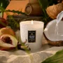 Vela Copo Vidro Tahitian Coconut Vanilla Voluspa 60 Horas