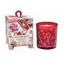 Vela Pequena Peppermint Michel Design 40 Horas