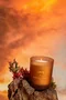 Vela Perfumada Terra do Sol Água De Coco Lenvie 210 g