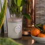 Vela Pote Vidro G 100H Maison Saijo Persimmon Voluspa