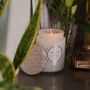 Vela Pote Vidro G 100H Maison Saijo Persimmon Voluspa
