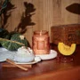 Vela Pote Vidro G Spiced Pumpkin Latte Voluspa 100 Horas