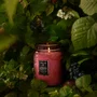 Vela Pote Vidro Relevo G Foraged Wildberry Voluspa 100 Horas